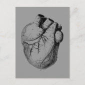 Anatomisch gecorrigeerd hart briefkaart (Voorkant)