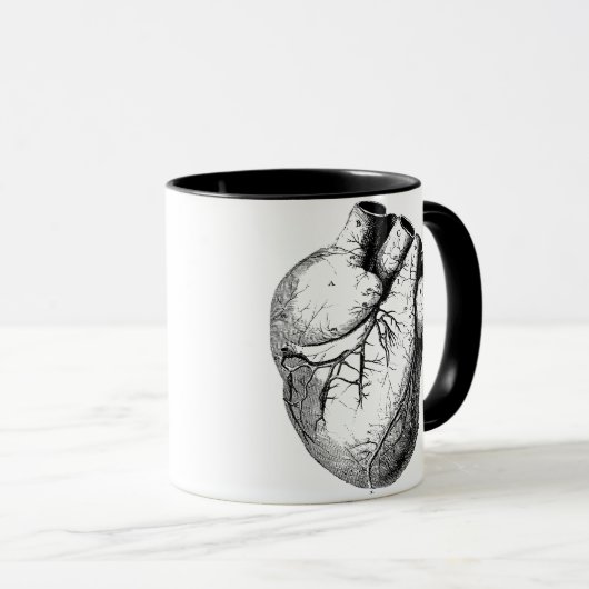 Anatomisch gecorrigeerd hart mok (Voorkant rechts)