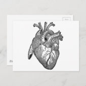  anatomisch hart briefkaart (Voorkant / Achterkant)