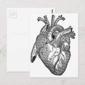 anatomisch hart briefkaart (Voorkant / Achterkant)