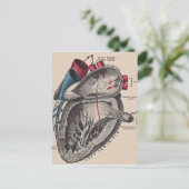  anatomisch hart briefkaart (Staand voorkant)