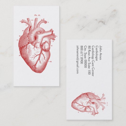 Anatomisch hart-cardioloog visitekaartje (Voorkant / Achterkant)