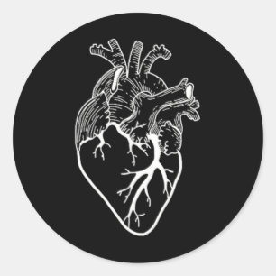 Anatomisch hart Hartaandoeningen Ronde Sticker