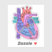 Anatomisch hart hartverpleegkundige beoefenaar sticker (Vel)
