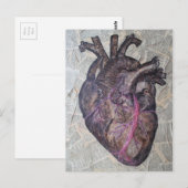 Anatomisch hart, het originele schilderen briefkaart (Voorkant / Achterkant)
