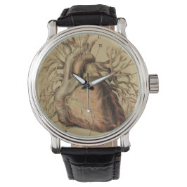 Anatomisch Hart Illustratie Tekening Horloge