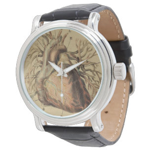  Anatomisch Hart Illustratie Tekening Horloge