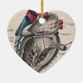  anatomisch hart keramisch ornament (Voorkant)