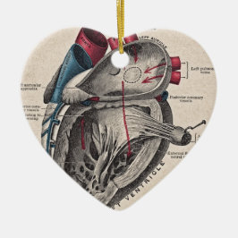  anatomisch hart keramisch ornament