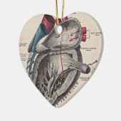 anatomisch hart keramisch ornament (Links)