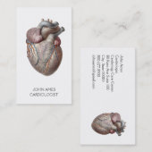 Anatomisch hart-medische cardiologie visitekaartje (Voorkant / Achterkant)