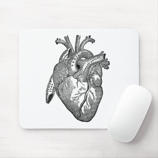 anatomisch hart muismat (Met muis)