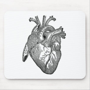 anatomisch hart muismat
