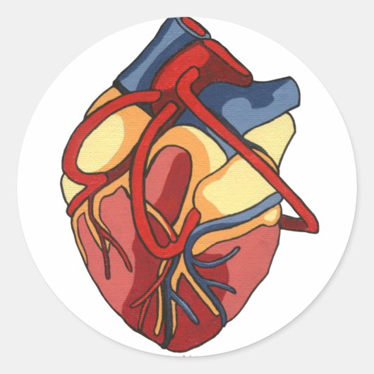 Anatomisch Hart Ronde Sticker (Voorkant)