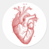 Anatomisch hart ronde sticker (Voorkant)