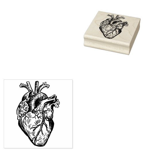 Anatomisch Hart Rubberstempel (Gestempeld)