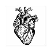 Anatomisch Hart Rubberstempel (Afrduk)