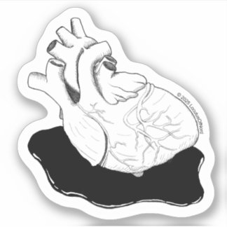 Anatomisch hart sticker