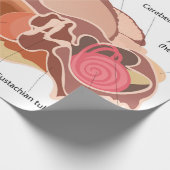 Anatomisch hartdiagram cadeaupapier (Hoek)