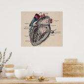  anatomisch hartdiagram poster (Keuken)