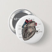 Anatomisch hartdiagram ronde button 5,7 cm (Voorkant /achterkant)
