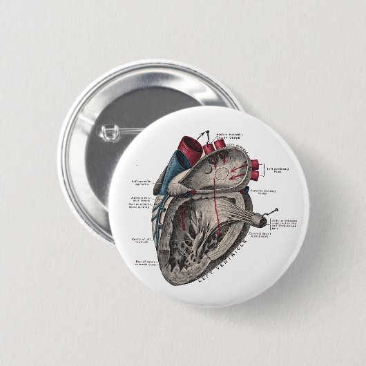 Anatomisch hartdiagram ronde button 5,7 cm (Voorkant /achterkant)