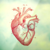 Anatomisch humaan hart Kunstvensterkoeling Raamsticker (Vel 3)