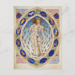 Anatomisch Man in Très Riches Heures van Duke Berr Briefkaart