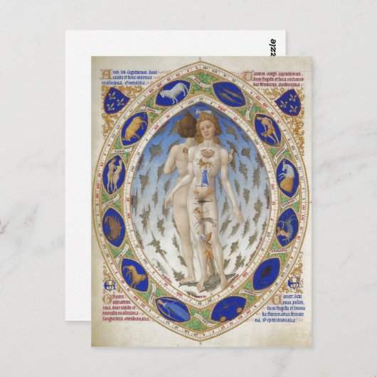 Anatomisch Man, Les Tr's Riches Heures du duc de B Briefkaart (Voorkant / Achterkant)