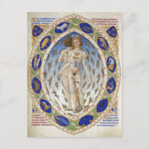 Anatomisch Man, Les Tr's Riches Heures du duc de B Briefkaart