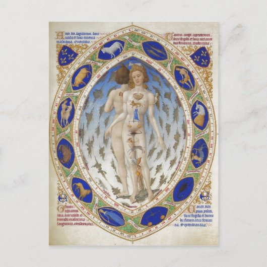Anatomisch Man, Les Tr's Riches Heures du duc de B Briefkaart (Voorkant)