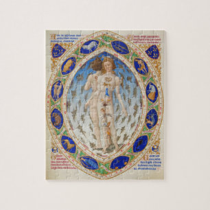 Anatomisch Man - Puzzle Legpuzzel