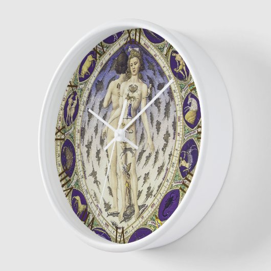 Anatomisch Man van de dierenriem (Hoek)