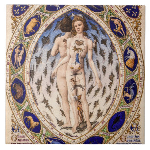 Anatomisch Man van de dierenriem Tegeltje