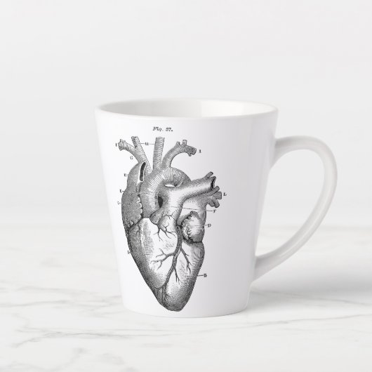 Anatomisch menselijk hart  Kunst met letterlijke M Latte Mok (Rechts)