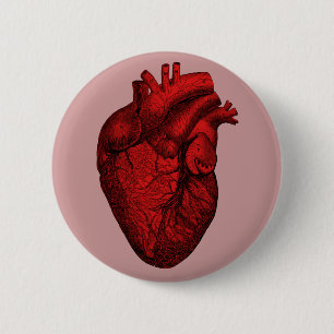 Anatomisch menselijk hart ronde button 5,7 cm