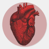 Anatomisch menselijk hart ronde sticker (Voorkant)