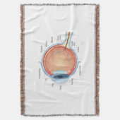 Anatomisch oogdiagram deken (Voorkant Verticaal)