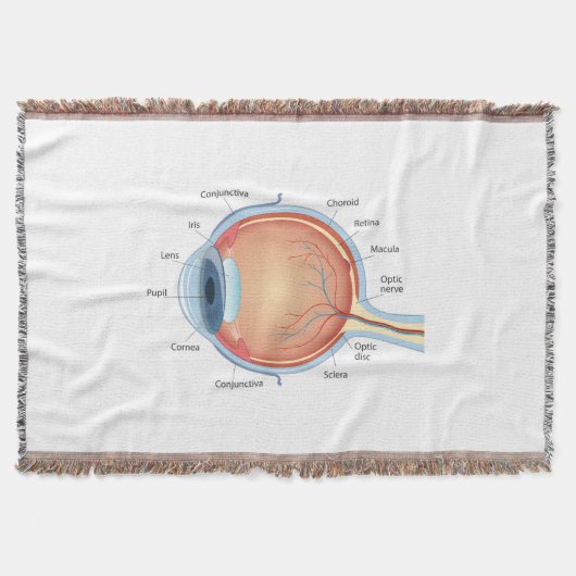 Anatomisch oogdiagram deken (Voorkant)