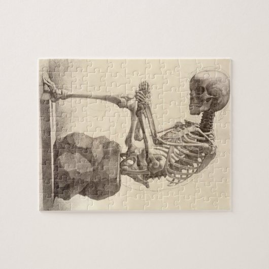 anatomisch skelet legpuzzel (Horizontaal)