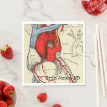 Anatomisch Vintage Diagram Medische Afstudeercadea