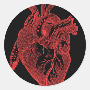 Anatomisch zwart hart ronde sticker