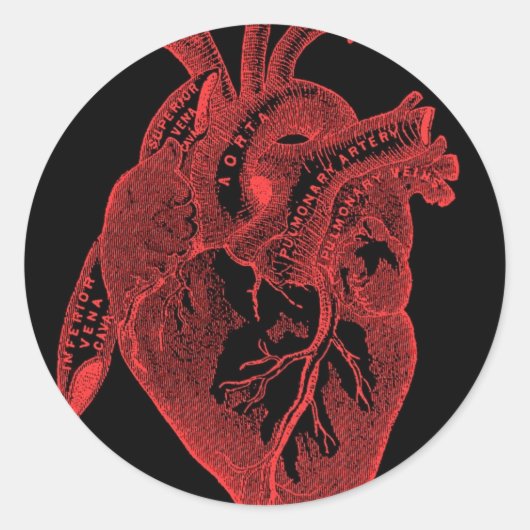Anatomisch zwart hart ronde sticker (Voorkant)
