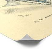 anatomische anterienek poster (Hoek)