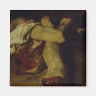 Anatomische artikelen magneet