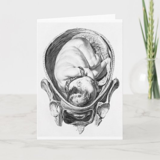  anatomische Baby foetus Wenskaart Kaart (Voorkant)