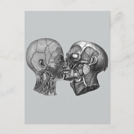 anatomische borst briefkaart (Voorkant)