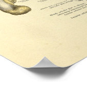 Anatomische Botten voor voetansluiting Afdrukken A Poster (Hoek)