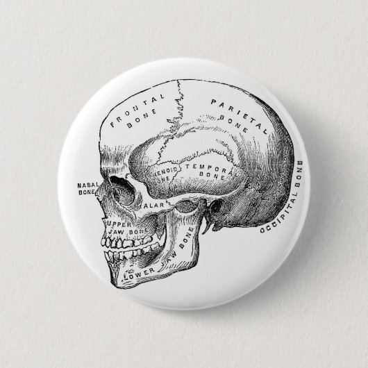 Anatomische Button (Voorkant)