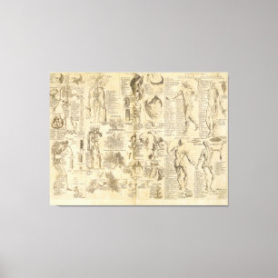 Anatomische Grafiek uit Cyclopaedie 1728 Canvas Afdruk